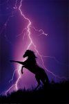2400-1227~Lightning-and-Silhouette-of-Horse-Posters.jpg