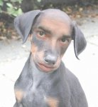 hombreperro0qs.jpg