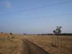 DSC01255--.jpg