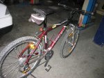 fotos trek 003.jpg