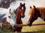 Simonsen-Simon-Ludvig-Ditlev-Old-Friends.jpg