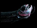 070509_deep_1_470.jpg