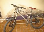 DSC01035.jpg