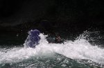 3-05-07 tarde 041_resize.jpg