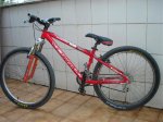 DSC04133.jpg