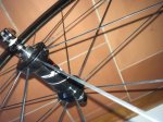 zipp 3.jpg