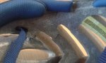 20160811_082958.jpg