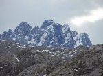 IMG_5248.JPG