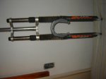 DSC01031.jpg