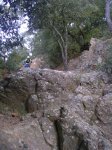 DSCN7386.JPG
