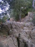 DSCN7387.JPG