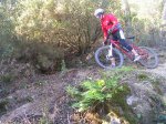 DSCN7495.JPG