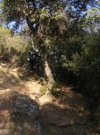 DSCN7615.JPG