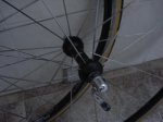 DSC00553_1024x768.JPG