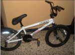 bici 2.JPG