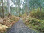 DSC00082.JPG