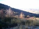 PIC_0090_resize.JPG