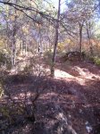 PIC_0096_resize.jpg