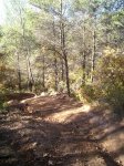 PIC_0098_resize.jpg