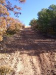 PIC_0101_resize.jpg