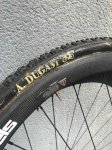 IMG_3092.jpeg