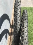 IMG_4366.jpeg