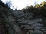DSCN2491_redimensionar.JPG