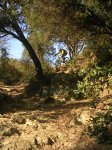 DSCN7753.JPG