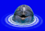 delfin03.gif