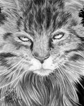 Hissy_Fit__Revised__by_SilentNeko.jpg