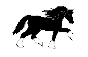 caballo.gif
