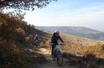 DSC02010.jpg
