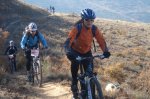 DSC02013.jpg