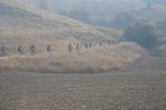 DSC02017.jpg
