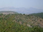 PIC_0005_resize.JPG