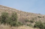 DSC02018.jpg
