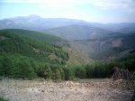 PIC_0025_resize.JPG