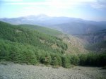 PIC_0030_resize.JPG