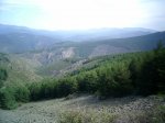 PIC_0031_resize.JPG