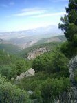 PIC_0032_resize.JPG