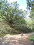PIC_0033_resize.JPG