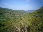 PIC_0034_resize.JPG