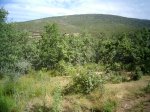 PIC_0035_resize.JPG