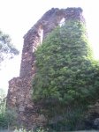 PIC_0042_resize.JPG