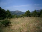 PIC_0044_resize.JPG