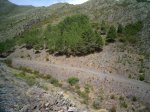 PIC_0048_resize.JPG