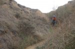 DSC02033.jpg