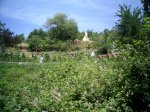 PIC_0056_resize.JPG