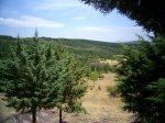 PIC_0059_resize.JPG