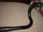DSC01504.JPG